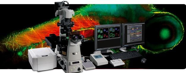 Scanning Confocal Microscope  A1R+