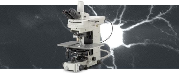 Upright Microscope Eclipse FN 1