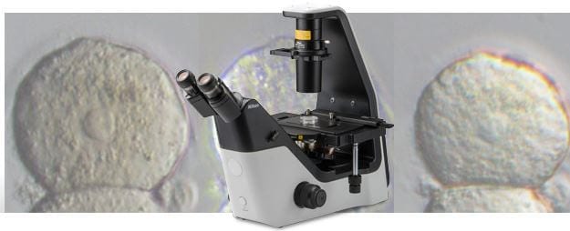 Inverted Routine Microscope Eclipse Ts2