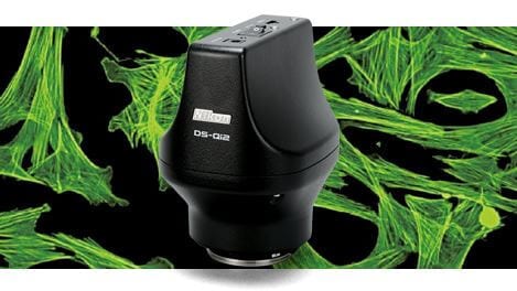 Microscope Camera Head DS-Qi2 Monochrome Camera
