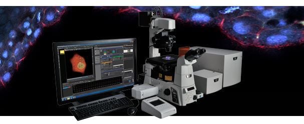 Point Scanning Confocal Microscope System C2+