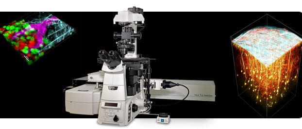 Multiphoton Confocal Microscope System A1 MP+