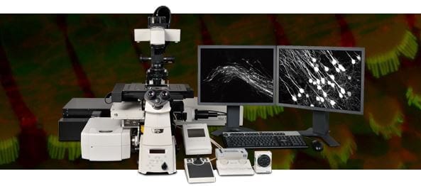 Multiphoton Confocal Microscope System A1R MP+